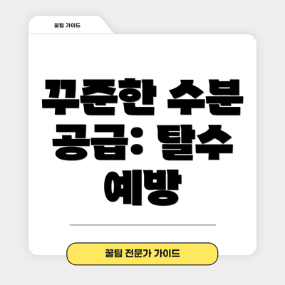 꾸준한 수분 공급: 탈수 예방