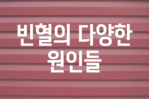 빈혈의 다양한 원인들