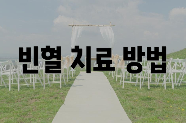 빈혈 치료 방법