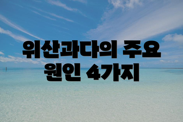 위산과다의 주요 원인 4가지