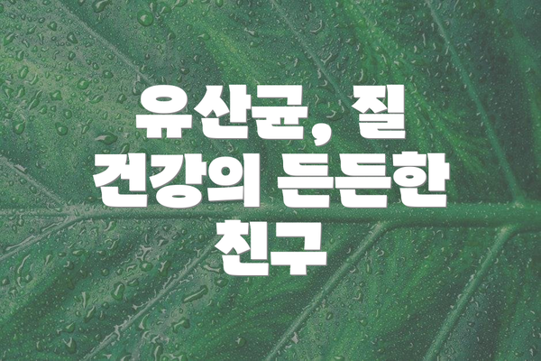 유산균, 질 건강의 든든한 친구
