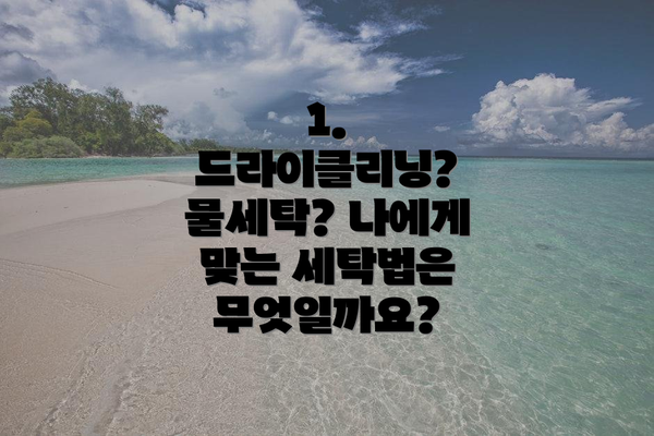 1. 드라이클리닝? 물세탁? 나에게 맞는 세탁법은 무엇일까요?