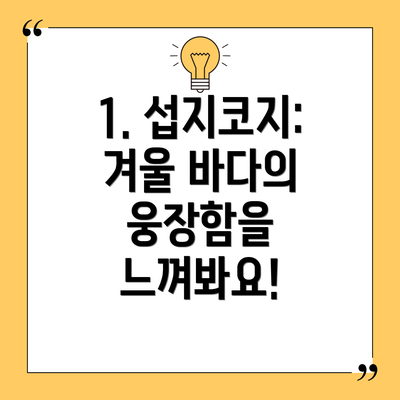 1. 섭지코지: 겨울 바다의 웅장함을 느껴봐요!