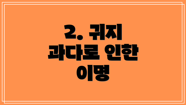 2. 귀지 과다로 인한 이명