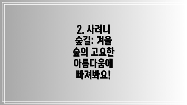2. 사려니 숲길: 겨울 숲의 고요한 아름다움에 빠져봐요!