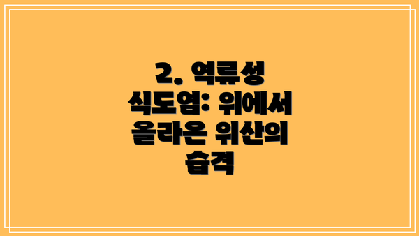 2. 역류성 식도염: 위에서 올라온 위산의 습격