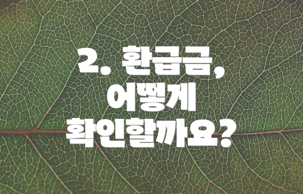 2. 환급금, 어떻게 확인할까요?