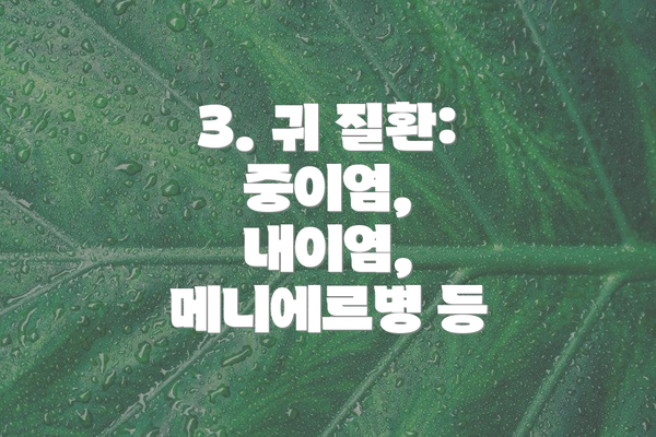 3. 귀 질환: 중이염, 내이염, 메니에르병 등