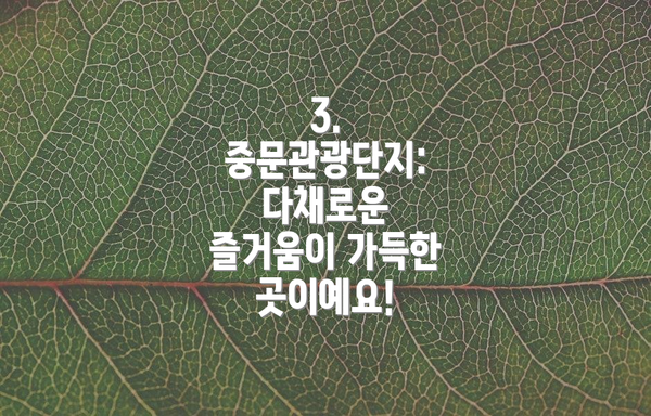 3. 중문관광단지: 다채로운 즐거움이 가득한 곳이예요!