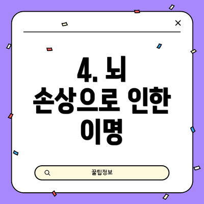 4. 뇌 손상으로 인한 이명