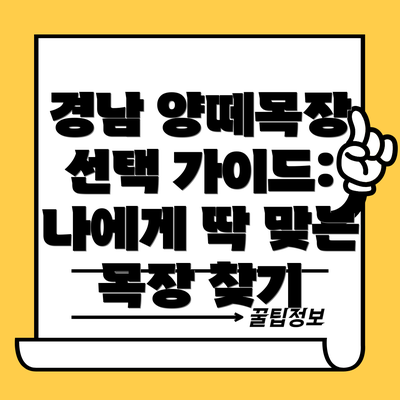 경남 양떼목장 선택 가이드: 나에게 딱 맞는 목장 찾기
