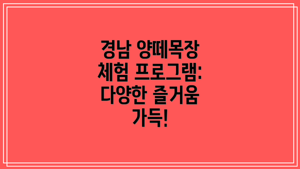 경남 양떼목장 체험 프로그램: 다양한 즐거움 가득!