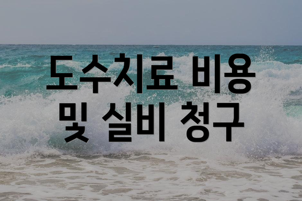 도수치료 비용 및 실비 청구