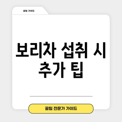 보리차 섭취 시 추가 팁