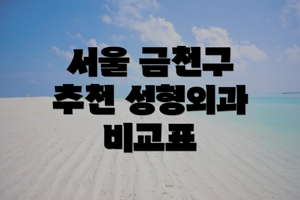 서울 금천구 추천 성형외과 비교표