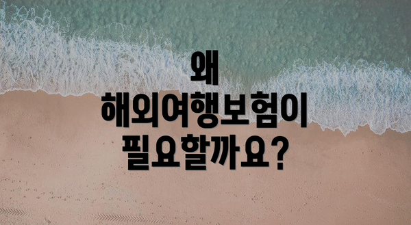 왜 해외여행보험이 필요할까요?