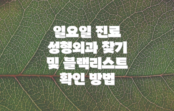 일요일 진료 성형외과 찾기 및 블랙리스트 확인 방법