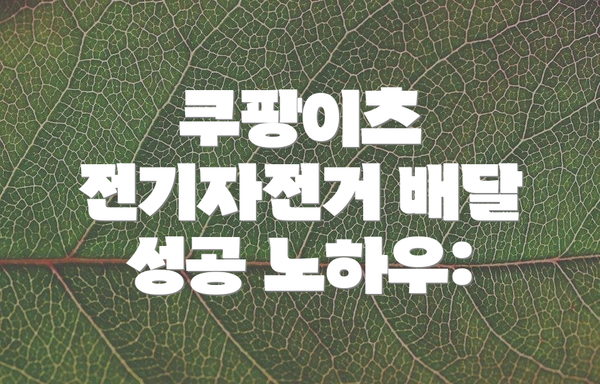 쿠팡이츠 전기자전거 배달 성공 노하우: