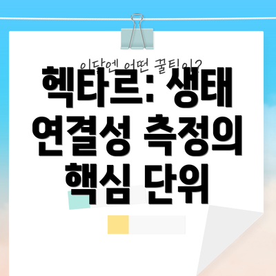 헥타르: 생태 연결성 측정의 핵심 단위