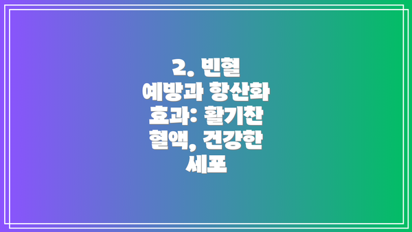 2. 빈혈 예방과 항산화 효과: 활기찬 혈액, 건강한 세포