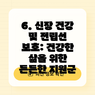 6. 신장 건강 및 전립선 보호: 건강한 삶을 위한 든든한 지원군