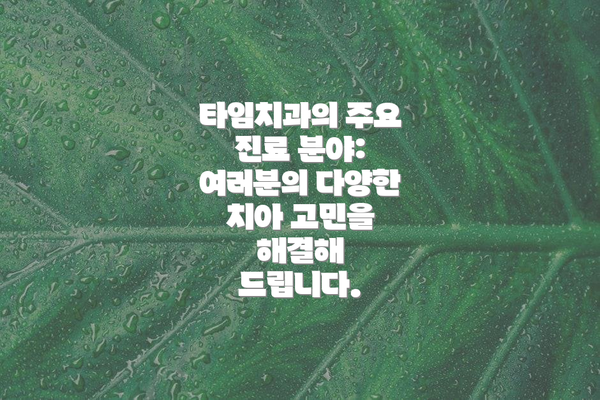 타임치과의 주요 진료 분야: 여러분의 다양한 치아 고민을 해결해 드립니다.