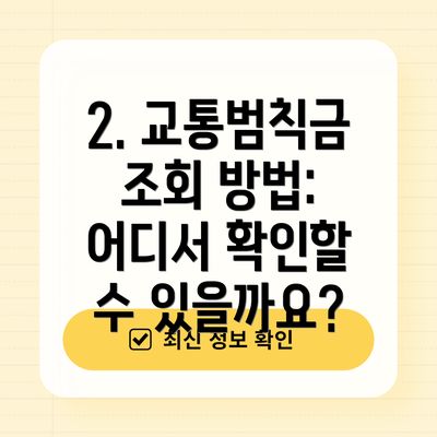 2. 교통범칙금 조회 방법: 어디서 확인할 수 있을까요?