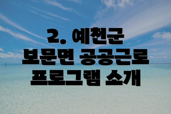 2. 예천군 보문면 공공근로 프로그램 소개