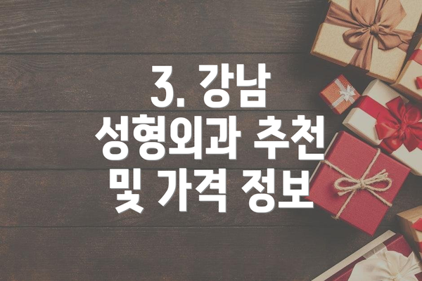 3. 강남 성형외과 추천 및 가격 정보