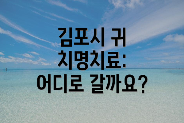 김포시 귀 치명치료: 어디로 갈까요?