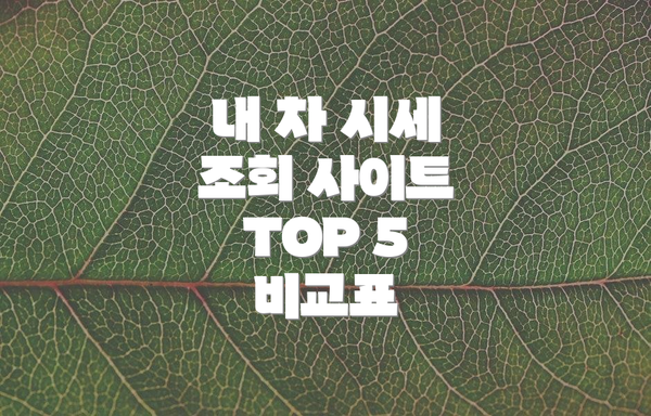 내 차 시세 조회 사이트 TOP 5 비교표