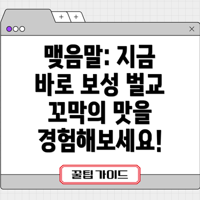 맺음말: 지금 바로 보성 벌교 꼬막의 맛을 경험해보세요!