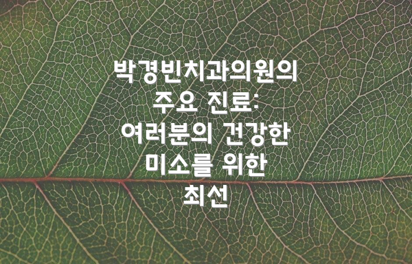 박경빈치과의원의 주요 진료: 여러분의 건강한 미소를 위한 최선