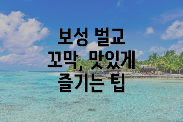 보성 벌교 꼬막, 맛있게 즐기는 팁