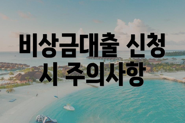 비상금대출 신청 시 주의사항