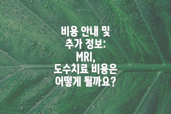 비용 안내 및 추가 정보: MRI, 도수치료 비용은 어떻게 될까요?