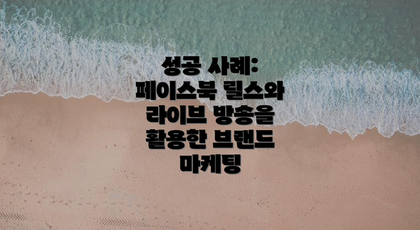 성공 사례: 페이스북 릴스와 라이브 방송을 활용한 브랜드 마케팅