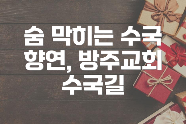 숨 막히는 수국 향연, 방주교회 수국길