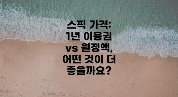 스픽 가격: 1년 이용권 vs 월정액, 어떤 것이 더 좋을까요?
