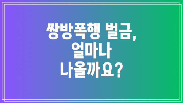 쌍방폭행 벌금, 얼마나 나올까요?