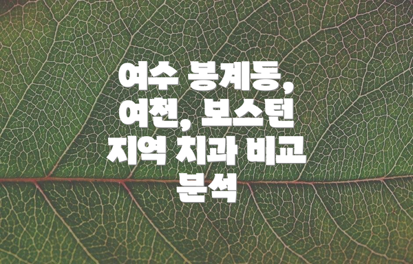 여수 봉계동, 여천, 보스턴 지역 치과 비교 분석