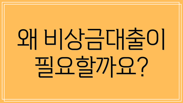 왜 비상금대출이 필요할까요?