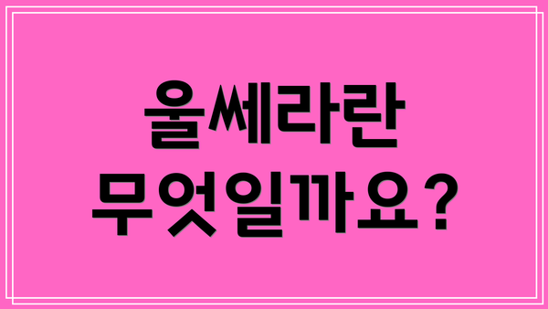 울쎄라란 무엇일까요?