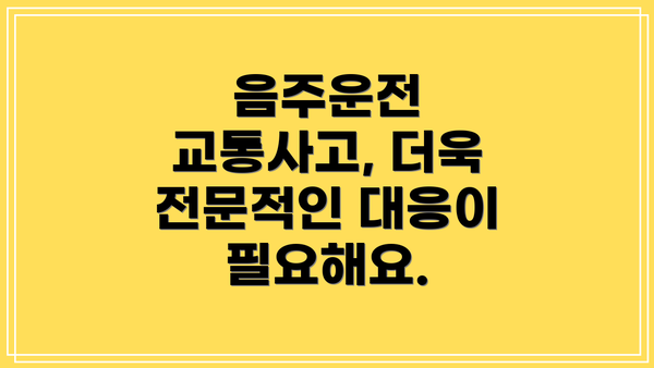 음주운전 교통사고, 더욱 전문적인 대응이 필요해요.