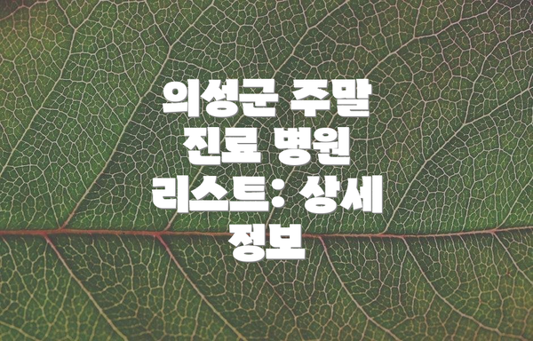 의성군 주말 진료 병원 리스트: 상세 정보
