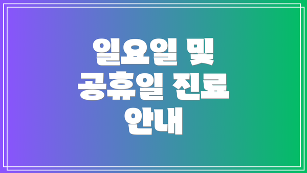 일요일 및 공휴일 진료 안내