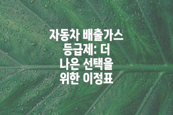 자동차 배출가스 등급제: 더 나은 선택을 위한 이정표