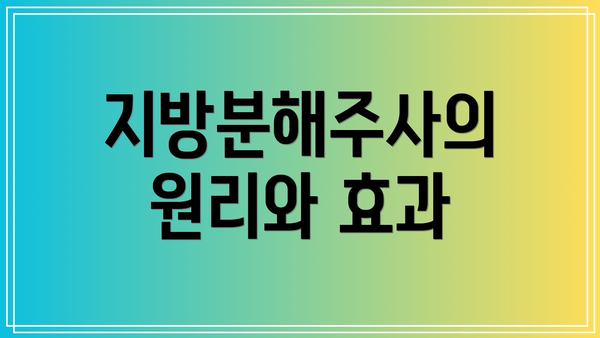 지방분해주사의 원리와 효과