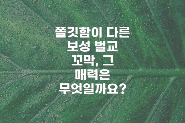 쫄깃함이 다른 보성 벌교 꼬막, 그 매력은 무엇일까요?