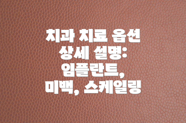 치과 치료 옵션 상세 설명: 임플란트, 미백, 스케일링